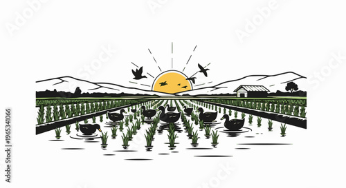 Sunrise over a tranquil rice paddy with ducks and a rustic barn