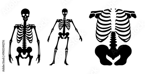 Human bone skeleton icon set with solid black line art design featuring anatomy, skeleton, medical illustration with healthcare and education