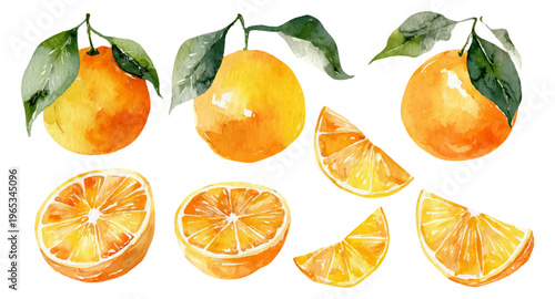 Watercolour painting of fresh juicy oranges with green leaves and various citrus fruit slices isolated, representing healthy eating, refreshment, and natural ingredients