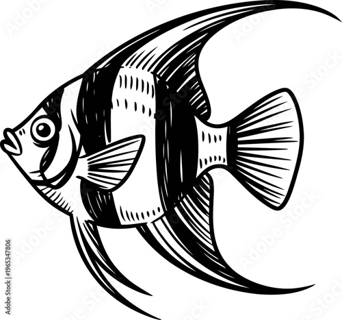 black and white illustration of an angelfish with flowing fins and vertical stripes, aquatic marine life drawing