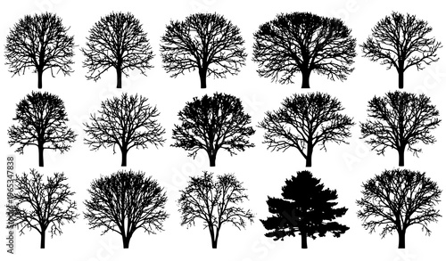 Black winter trees silhouette vector collection bare branches set