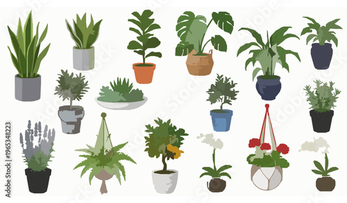 Potted plants vector set indoor outdoor green plants in flowerpots