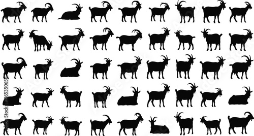Black silhouette collection of goats in various poses standing walking and sitting isolated on white background for livestock farming and animal nature concepts.