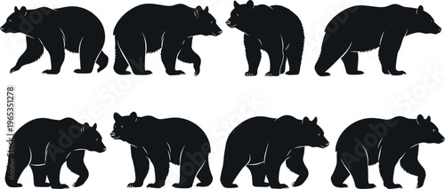Black silhouette collection of grizzly bears in various walking and standing poses isolated on white background for wildlife nature and forest animal concepts.