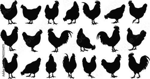 Set of diverse wild big cat silhouettes featuring majestic lions and Bengal tigers in various standing, walking, and sitting poses for wildlife conservation projects.