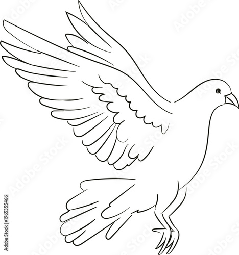 Dove Flying Line Art