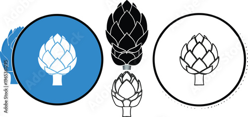 Illustrated diagram showing stages of a pine cone and its seed dispersal