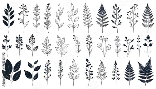 Collection of diverse stylized feather designs in black and white line art