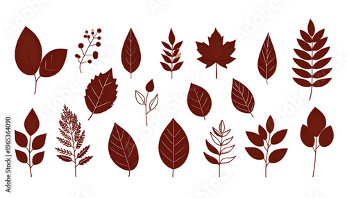 A collection of autumn leaves in various shapes and sizes displayed in a symmetrical arrangement