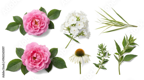 Foto A beautiful raster photograph displaying an assortment of fresh pink roses, white phlox, a coneflower