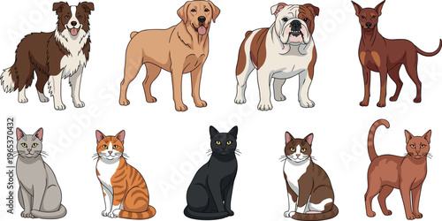 Dogs and cats collection with different breeds sitting and standing domestic pets animal set vector illustration isolated