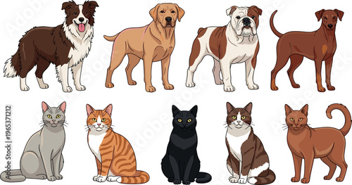Domestic pets collection with various dog breeds and cats sitting and standing cute animal vector illustration set isolated