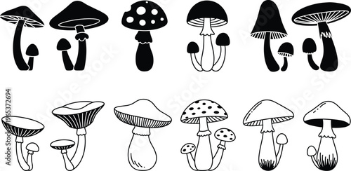 Hand Drawn Mushroom Vector Silhouette and Line Art Set Featuring Forest Fungus Toadstools and Botanical Elements for Nature Inspired Graphic Design