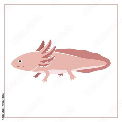 Cute pink axolotl vector illustration with smiling face, external gills, and friendly expression in flat cartoon style