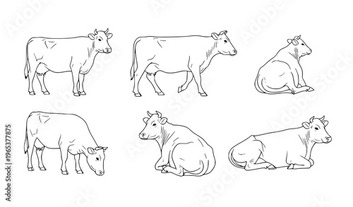 Cow Poses Set Minimal Line Art SVG (6 Pack)