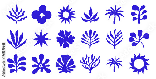 Photography Vector logo and print design templates, summer palms, tropical hand drawn illust