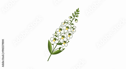 Delicate white flower cluster with green stems and leaves