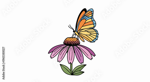 A colorful butterfly rests on a purple coneflower with green leaves