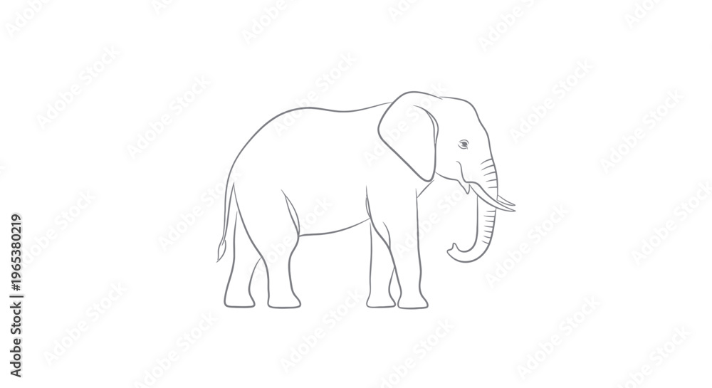 Fototapeta premium Simple Line Drawing of an African Elephant on White Background