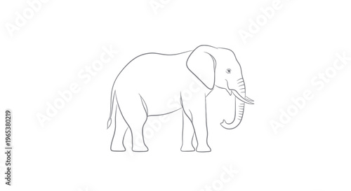 Bild auf Leinwand Simple Line Drawing of an African Elephant on White Background