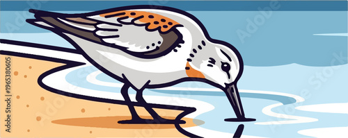 A sandpiper dips its beak into shallow, rippling water on a beach