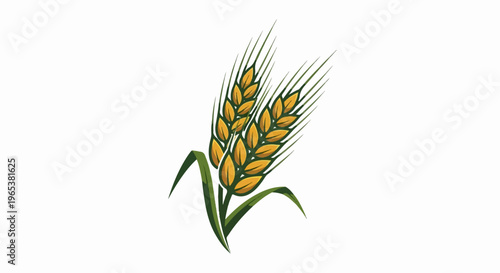 Two golden ears of wheat with green leaves on a white background