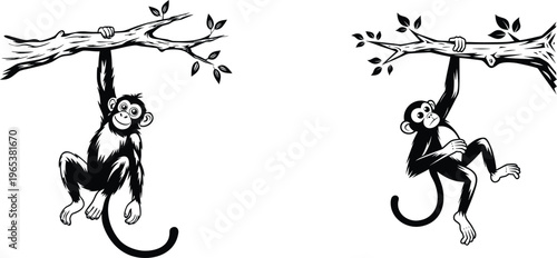 Two black silhouette monkeys hanging on branches with leaves on transparent background vector illustration.