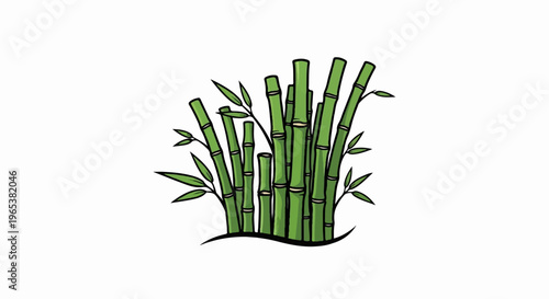 A cluster of green bamboo stalks with slender leaves on a white background