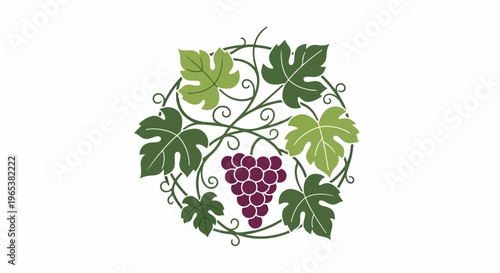 Elegant circular vine motif with grape cluster and swirling leaves