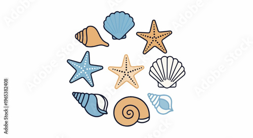 A whimsical circular arrangement of assorted colorful seashells and starfish