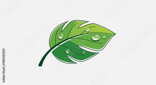 A vibrant green leaf with dew drops on its surface, set against a white background