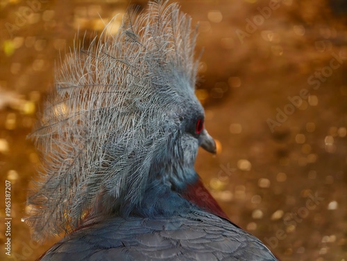 Foto Exquisite tropical pigeon image
