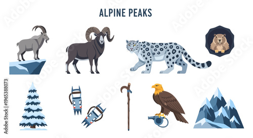 Alpine peaks wildlife and animals.