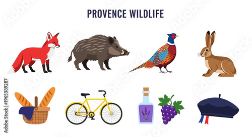 Provence wildlife and local products.