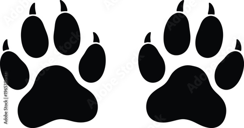 Black bear paw prints on white background