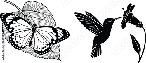 Black and white silhouette vector set featuring a butterfly on a leaf and a hummingbird drinking nectar from a flower for nature designs.