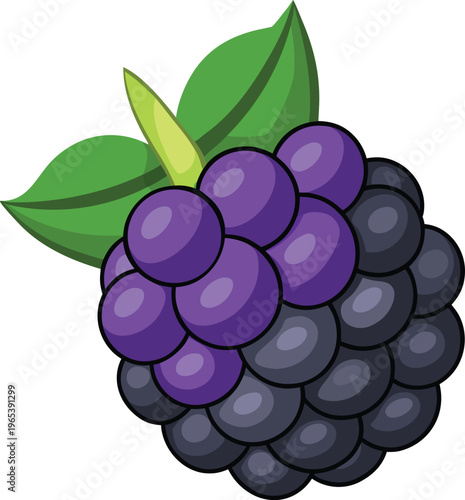 "Fresh Ripe Blackberry Fruit with Green Leaves — Vibrant Detailed Illustration for Food, Health and Premium Packaging Design"