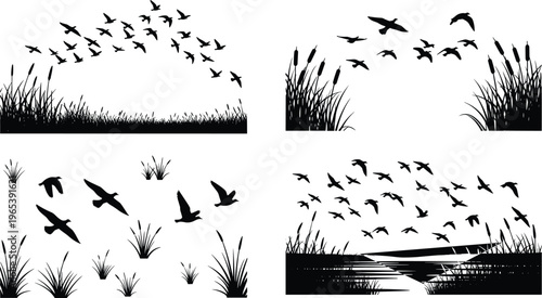 Black bird silhouettes flying over marsh grass and water reeds collection featuring flocks of waterfowl in wetland nature landscape background
