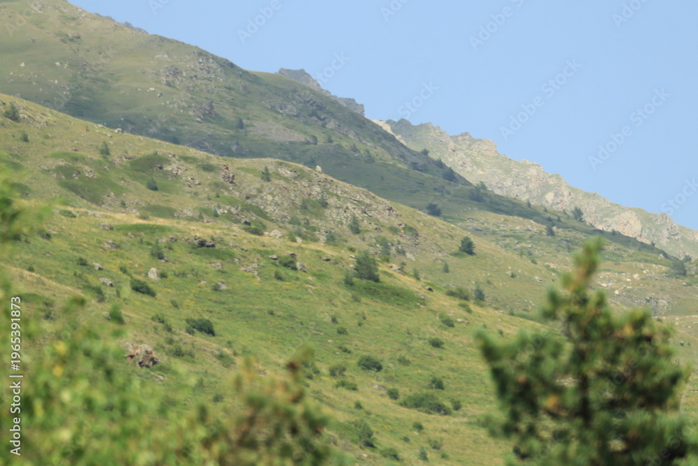 Obraz premium mountain landscape with trees