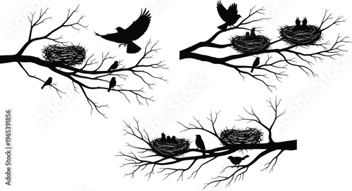 Black bird silhouettes on tree branches with nests and hungry chicks, flying songbirds in nature, wildlife habitat vector illustration for design