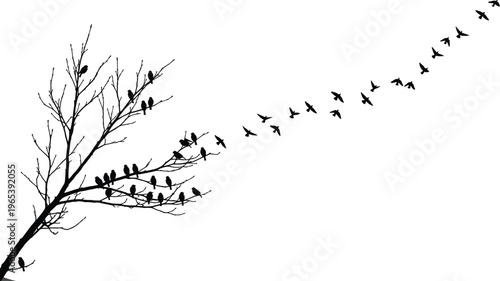 Black silhouette of a flock of birds flying away from a bare winter tree branch isolated on a white background for minimalist design