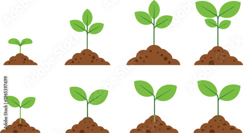Plant growth stages set with seedlings sprouting from soil progression of green leaves cartoon vector illustration collection