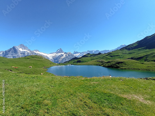 First Cliff Walk, Grindelwald, Suisse