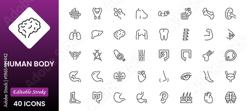 Line icons of anatomy, human body organ line icon set. Linear icon collection. Editable stroke. Vector illustration