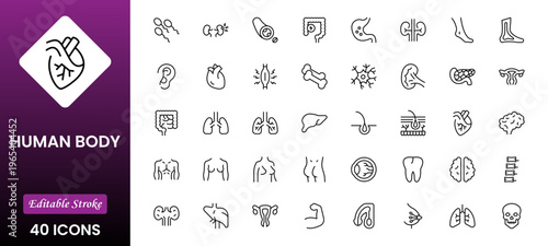 Line icons of anatomy, human body organ line icon set. Linear icon collection. Editable stroke. Vector illustration