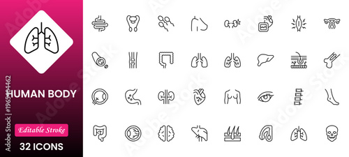 Line icons of anatomy, human body organ line icon set. Linear icon collection. Editable stroke. Vector illustration