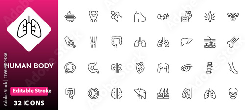 Line icons of anatomy, human body organ line icon set. Linear icon collection. Editable stroke. Vector illustration