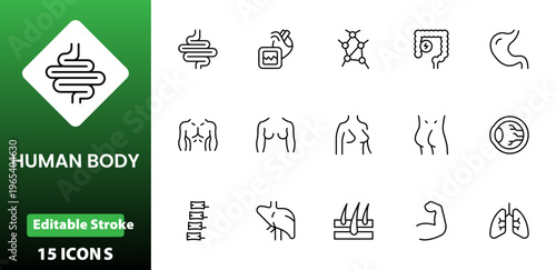 Line icons of anatomy, human body organ line icon set. Linear icon collection. Editable stroke. Vector illustration