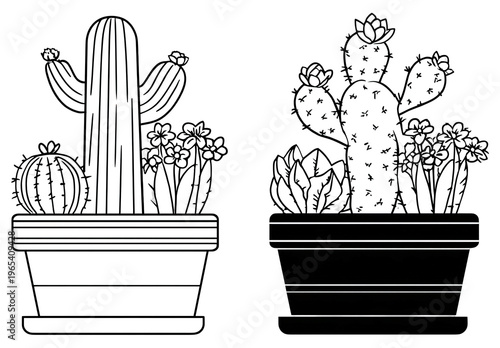 Monochrome illustration of potted cacti with flowers, detailed line art, against a black background