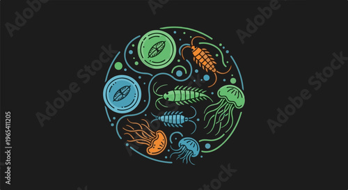 Circular arrangement of marine creatures and microscopic organisms
